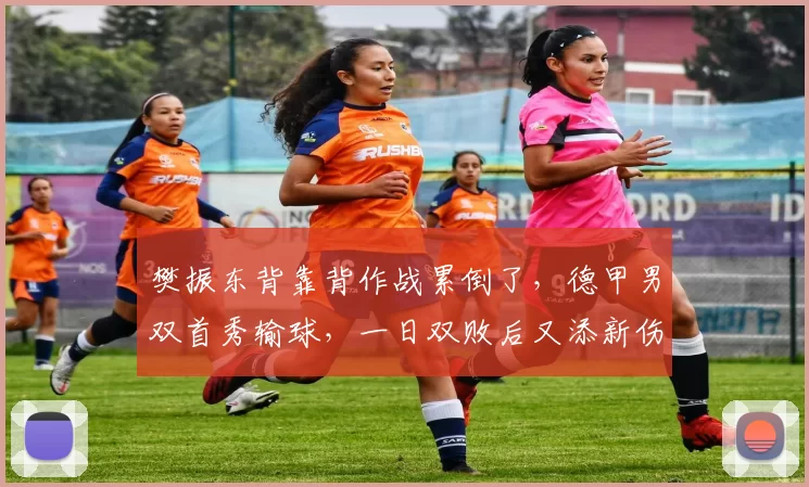 樊振东背靠背作战累倒了，德甲男双首秀输球，一日双败后又添新伤！