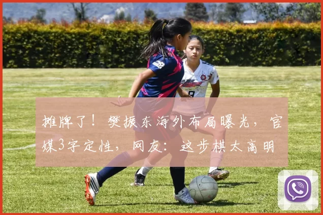 摊牌了！樊振东海外布局曝光，官媒3字定性，网友：这步棋太高明