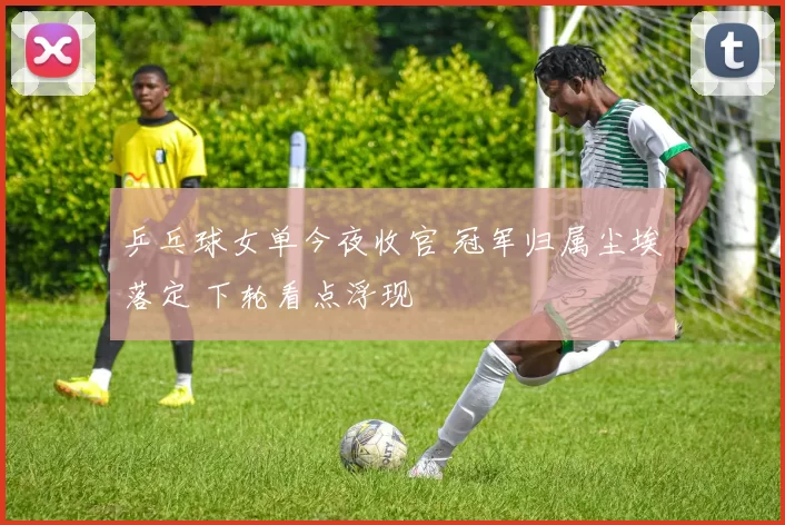 乒乓球女单今夜收官 冠军归属尘埃落定 下轮看点浮现