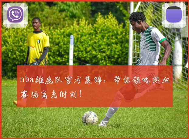 nba雄鹿队官方集锦,带你领略热血赛场高光时刻!