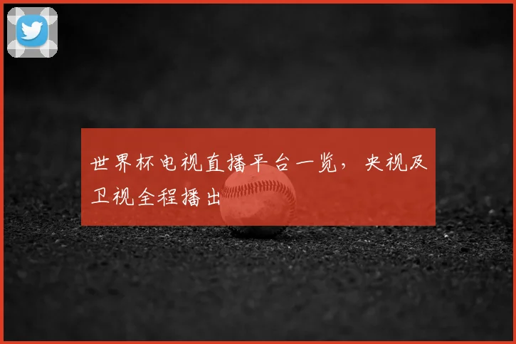 世界杯电视直播平台一览，央视及卫视全程播出