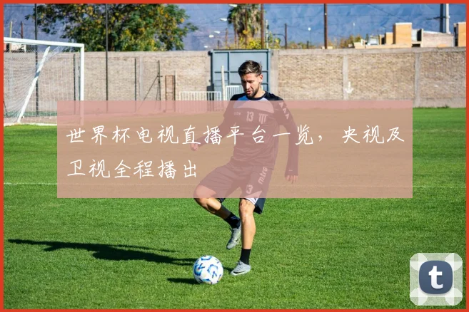 世界杯电视直播平台一览，央视及卫视全程播出